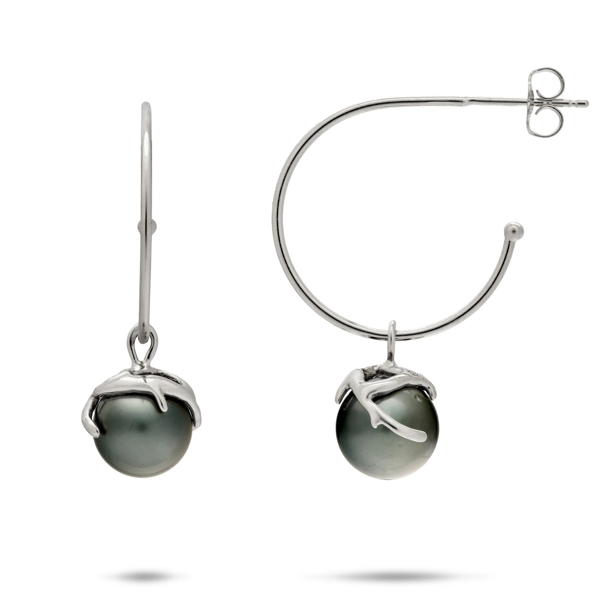 A pair of 14k yellow white hoop stud earrings with a dangling Tahitian black pearl wrapped in a coral branch design, shown front facing and side facing on a white background