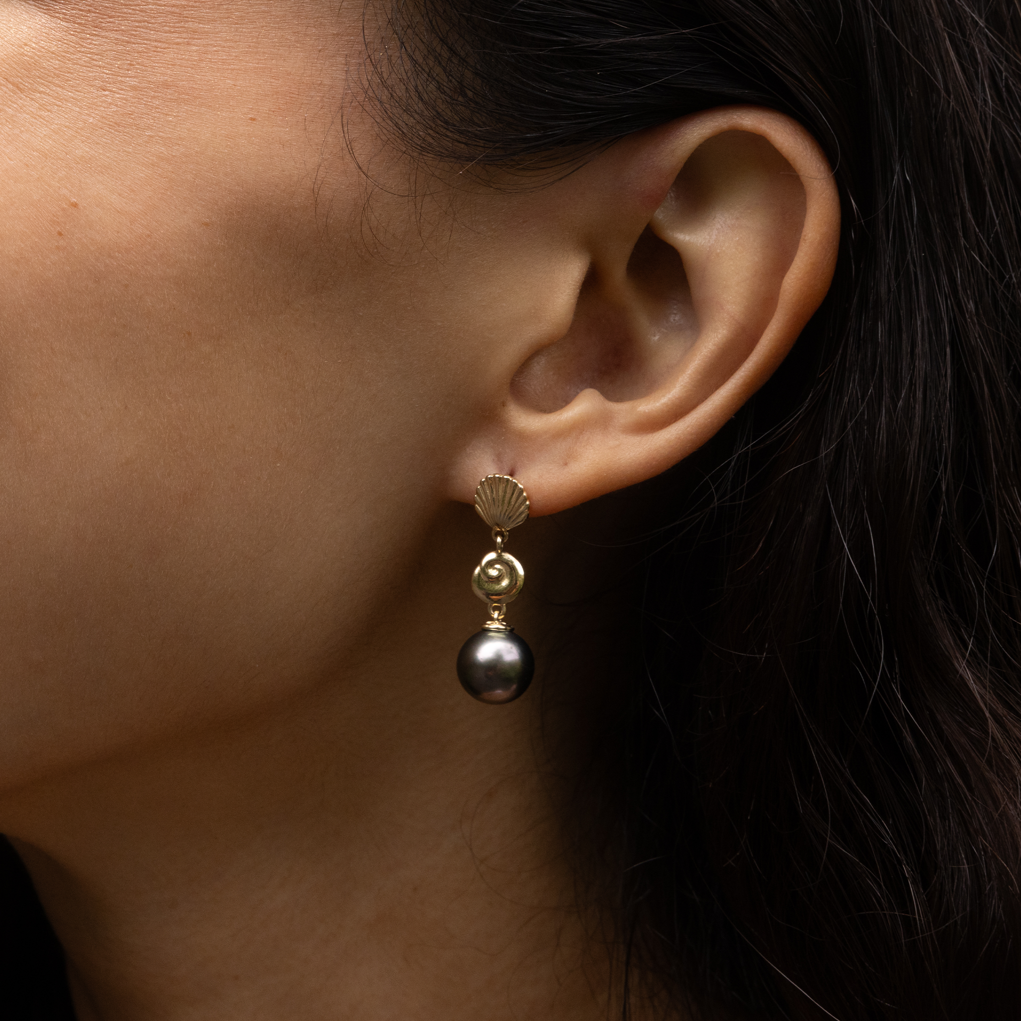 Seashells Tahitian Black Pearl Earrings in Gold - 9-10mm
