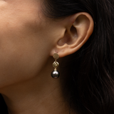 Seashells Tahitian Black Pearl Earrings in Gold - 40mm