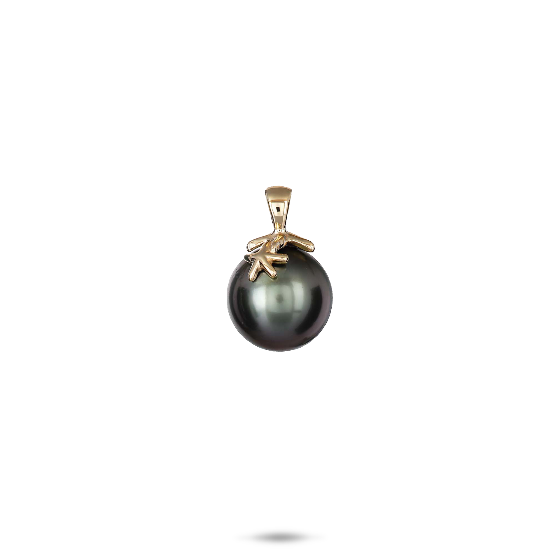 006-15553.png?v=1742864011&