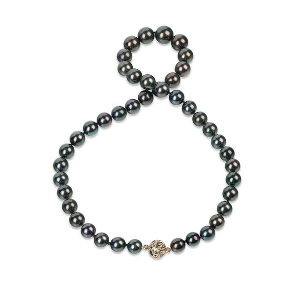 18-20" Rikitea Tahitian Black Pearl Strand with Magnetic Gold Clasp - 8-12mm on White Background