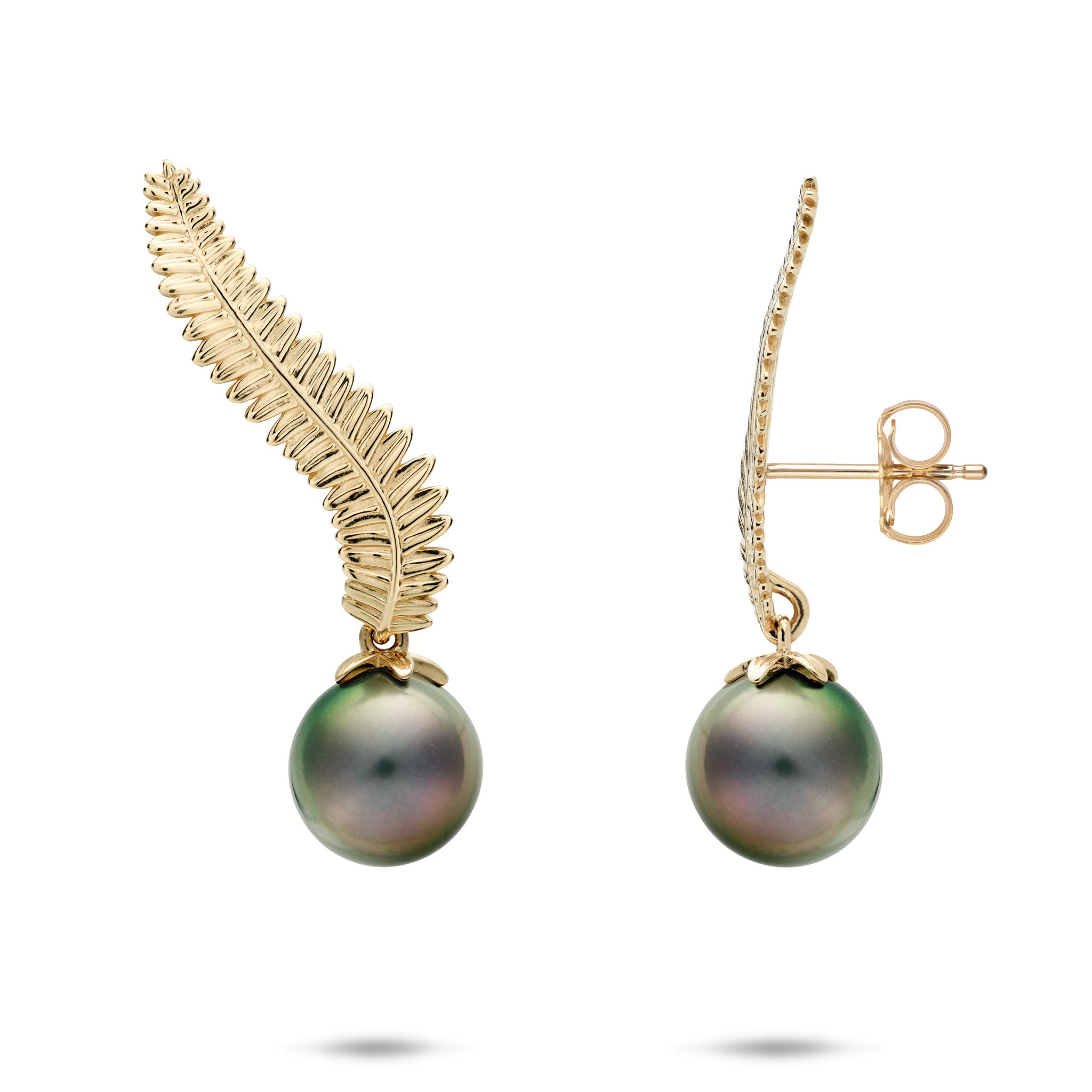 Kupukupu Fern Tahitian Black Pearl Climber Earrings in 14k Yellow Gold on a white background