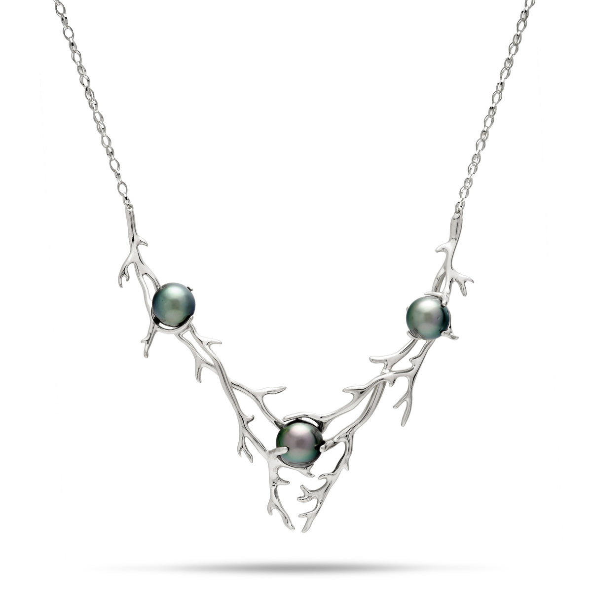 14k White Gold Heritage Collection V-shape Necklace with Hawaiian Black Coral Branch-inspired Design nestling three Tahitian black pearls, shown on a white background