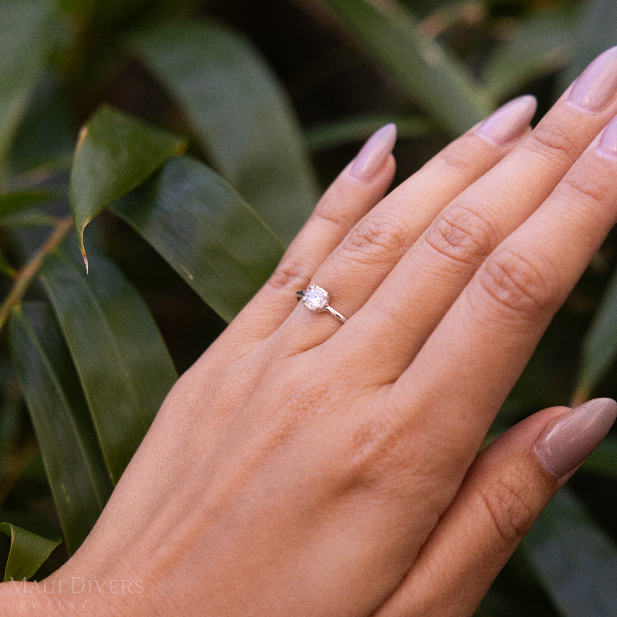 【極美品・記念モデル】ORB RING Slim CLEAR WHITE Hidden Hawaiʻi Maile 0.35-Carat Lab Grown Diamond Ring in White Gold
