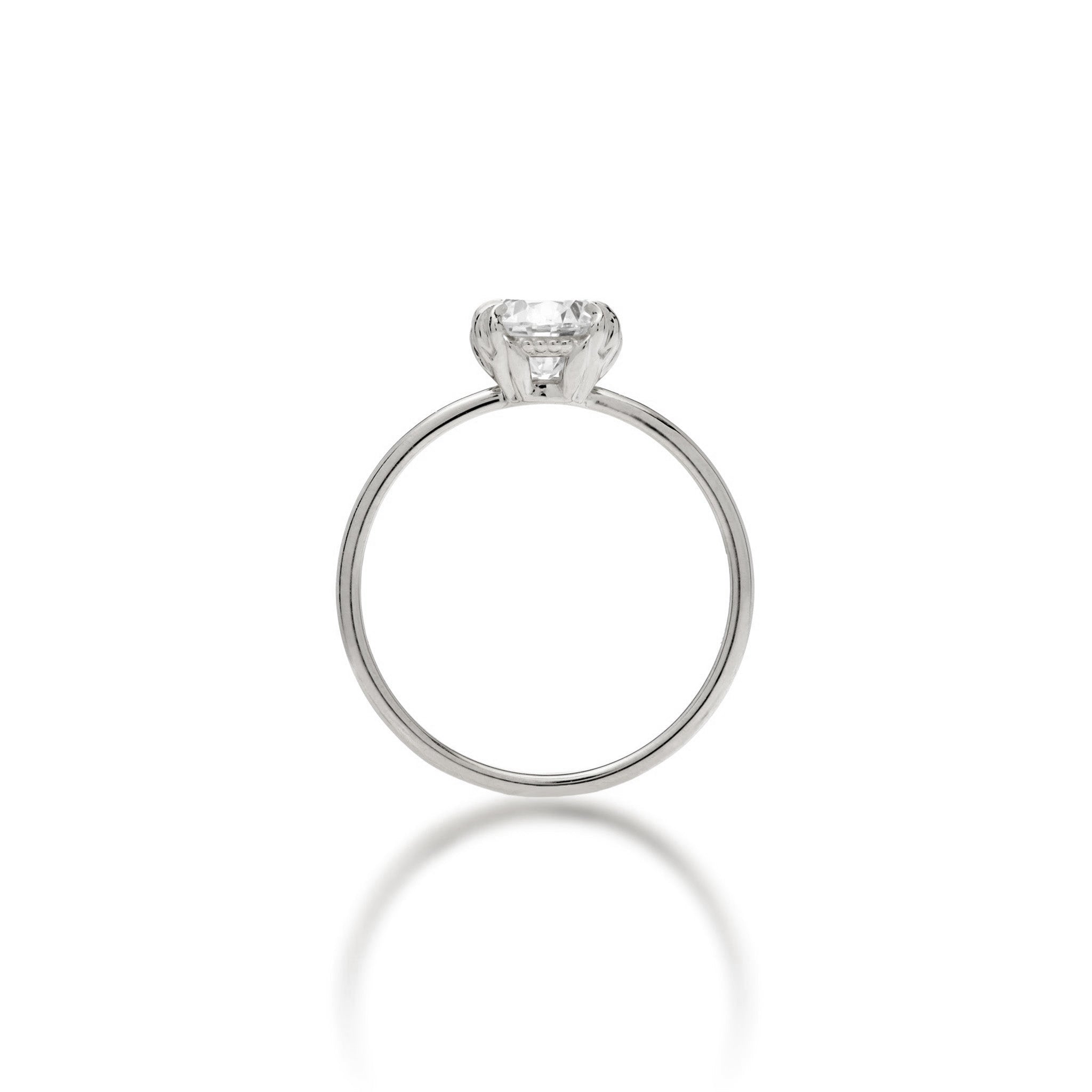 Band view of the Hidden Hawaiʻi Maile Lab Grown Diamond Ring in 14k White Gold on a white background