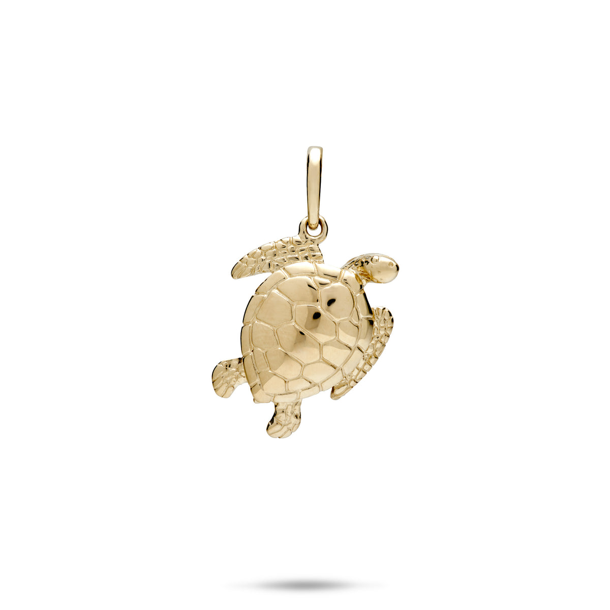 18mm Honu (Turtle) Pendant in Gold with high polish finish on white a background