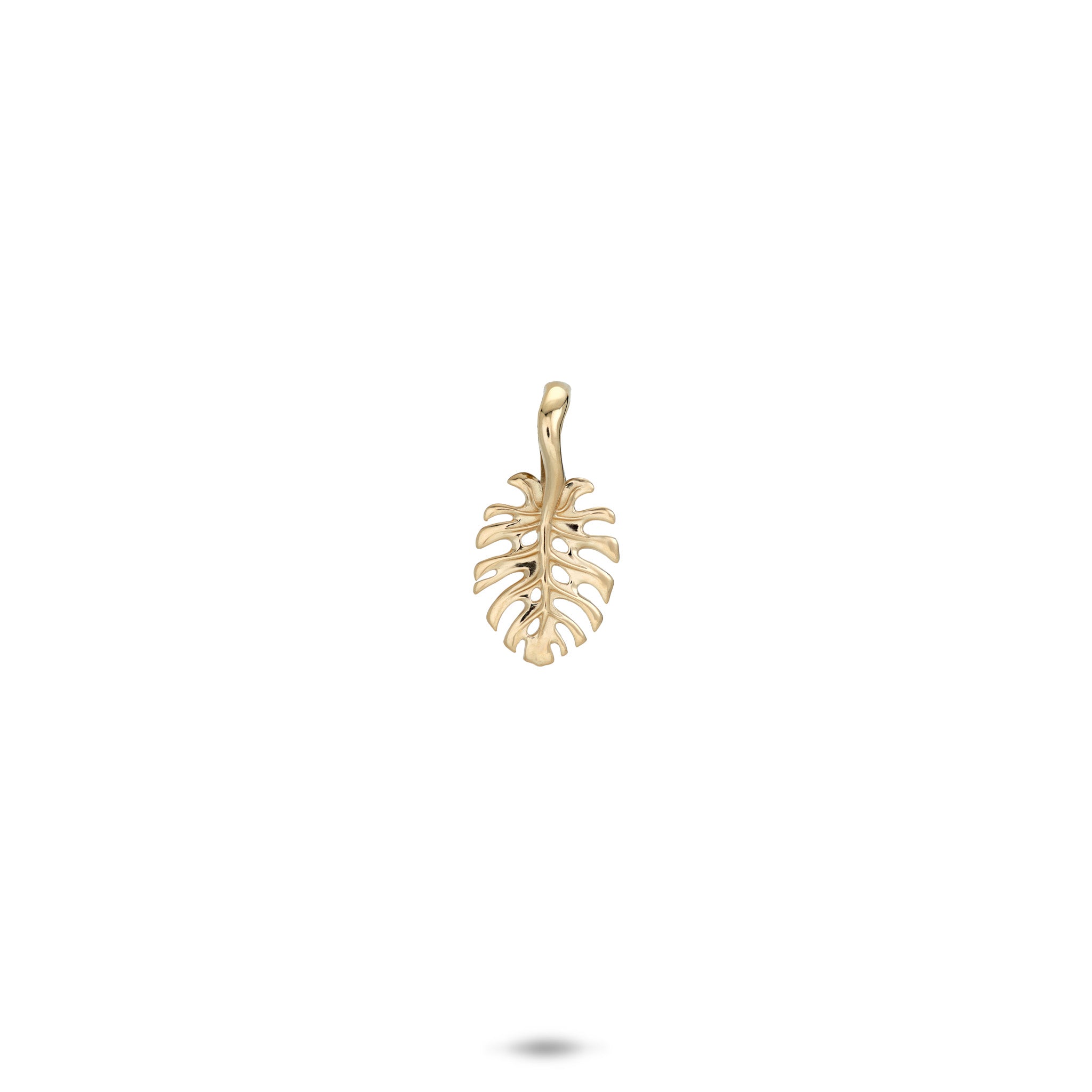 13.5mm Monstera Pendant in 14k Yellow Gold