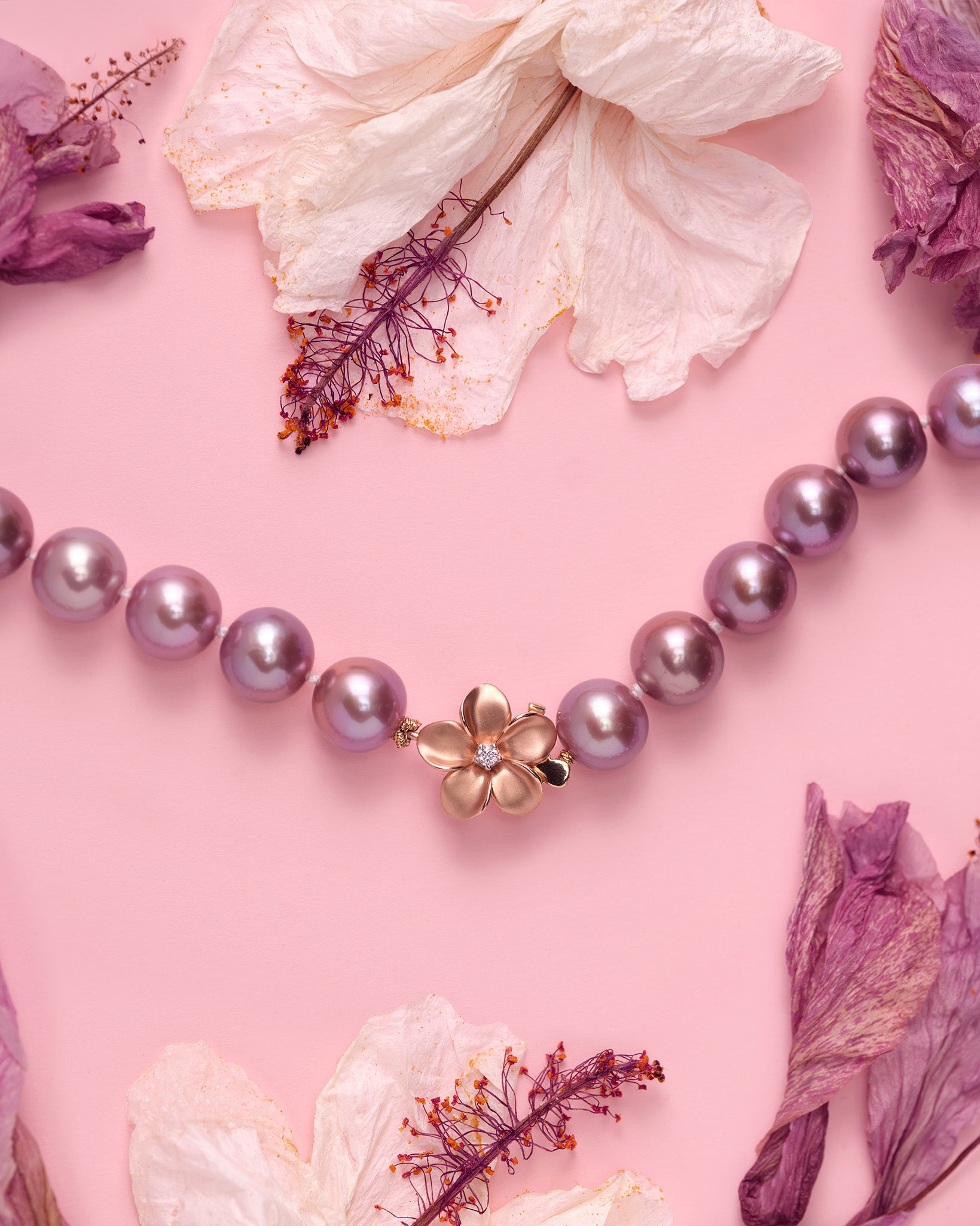 Maui Divers Jewelry - Exclusive Made in Hawaiʻi Jewelry since 1959