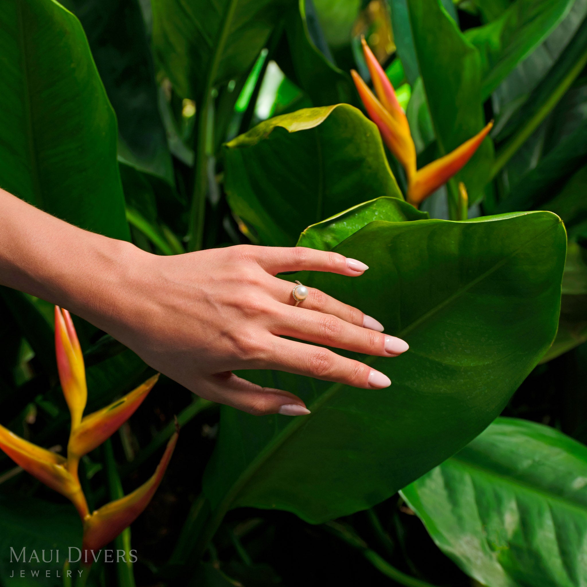 A Pick A Pearl Halo Ring in Gold with diamonds and a white pearl worn on a hand touching a green leaf