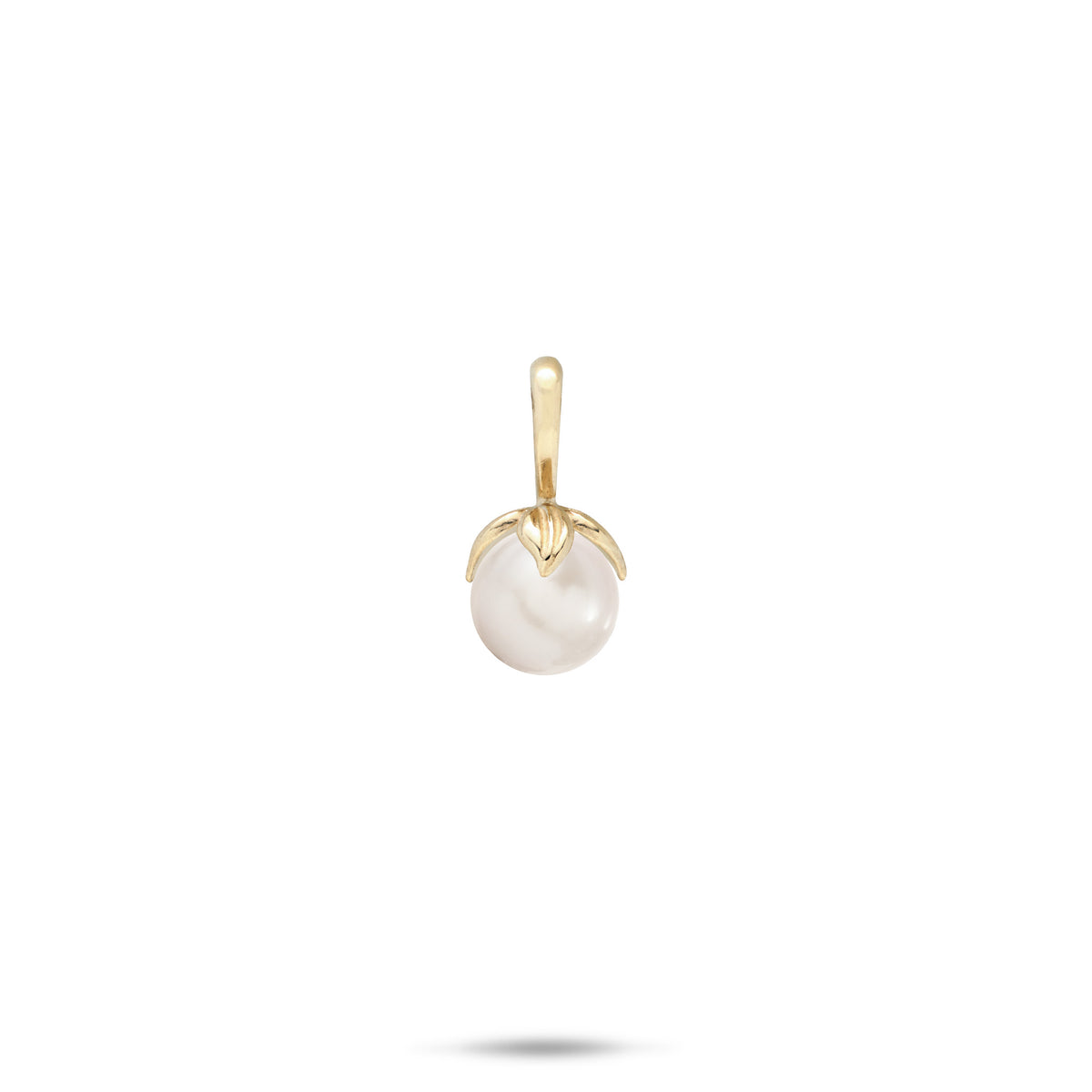 14k Yellow Gold Pendant with a high-polish bail and maile leaves wrapping a white freshwater pearl on a white background