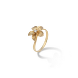Maui Divers Jewelry Plumeria Ring in Gold with Diamond - 13mm on White Background