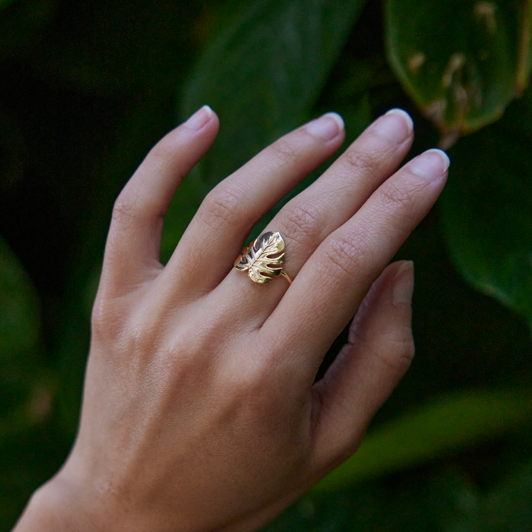Monstera-Ring in Gold - 15 mm