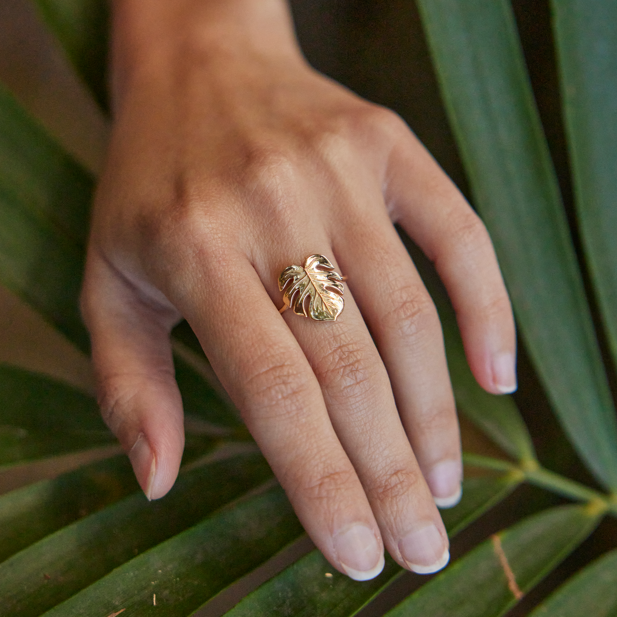 Monstera Ring in Gold -  15mm