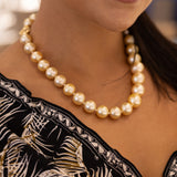 18-19" South Sea Gold Pearl Strand with Gold Clasp - 13-16mm