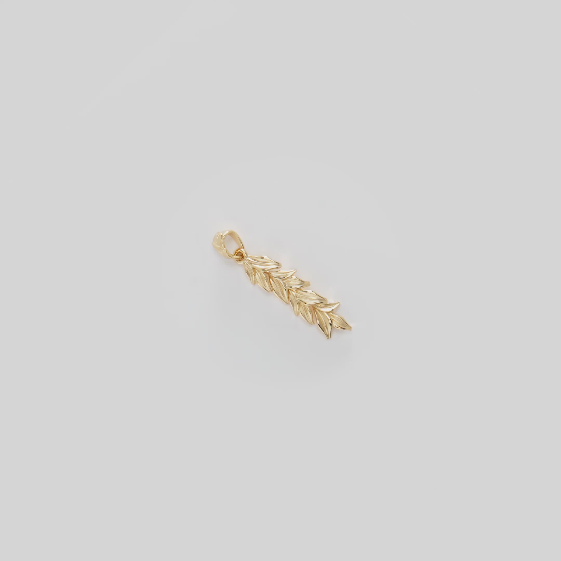Video showcasing the 35mm Maile Pendant in 14k Yellow Gold