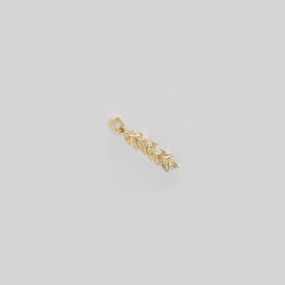 Video showcasing the 35mm Maile Pendant in 14k Yellow Gold