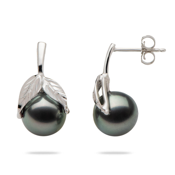 Tahitian Black Pearl Maile Earrings in 14K White Gold (9-10mm)-Maui Divers Jewelry