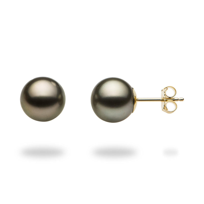 Tahitian Black Pearl Earrings in Gold (9-10mm)-Maui Divers Jewelry