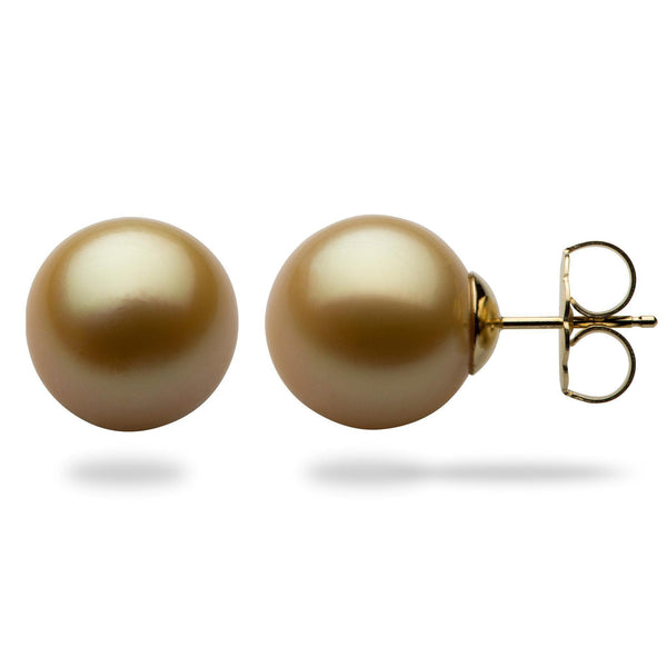 South Sea Gold Pearl Earrings in Gold-Maui Divers Jewelry