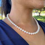 A womanʻs chest with a 18-19" Akoya Pearl Strand with White Gold Clasp - 7-8mm - Maui Divers Jewelry