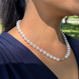 18 - 19 "akoya chaîne de perles blanches avec velcro bicolore - 8 - 8.5mm