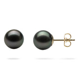 Tahitian Black Pearl (8-9mm) Earrings in Gold-Maui Divers Jewelry