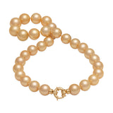 18-19" South Sea Gold Pearl Strand with Gold Clasp - 13-16mm