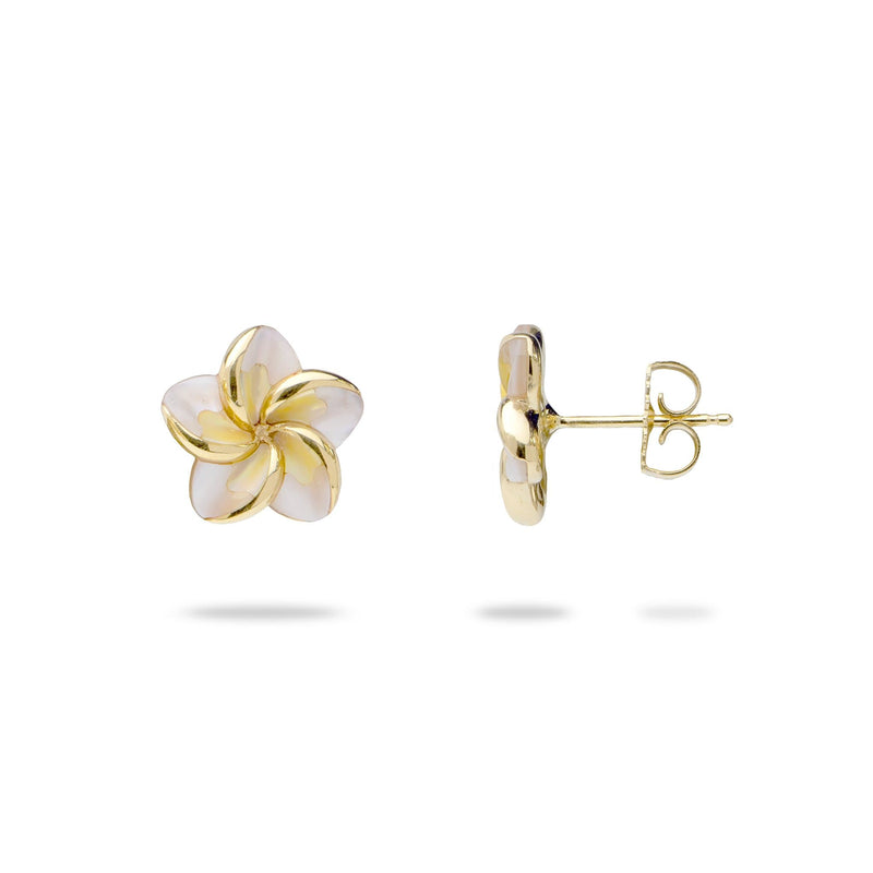 Plumeria Mother of Pearl Earrings in Gold - 13mm – Maui Divers Jewelry