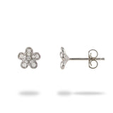 Plumeria Pave Diamond Earrings in 14K White Gold (7mm) - Maui Divers Jewelry