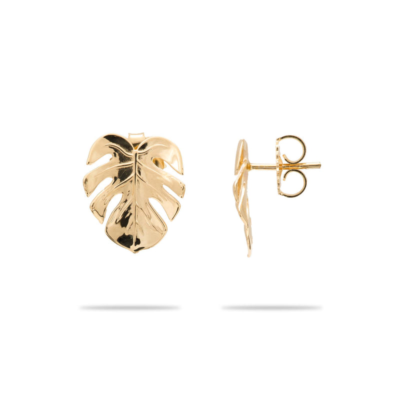 Monstera Earrings in Gold - 15mm - Maui Divers Jewelry