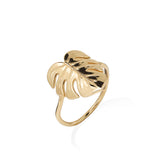 Monstera Ring in Gold -  15mm - Maui Divers Jewelry