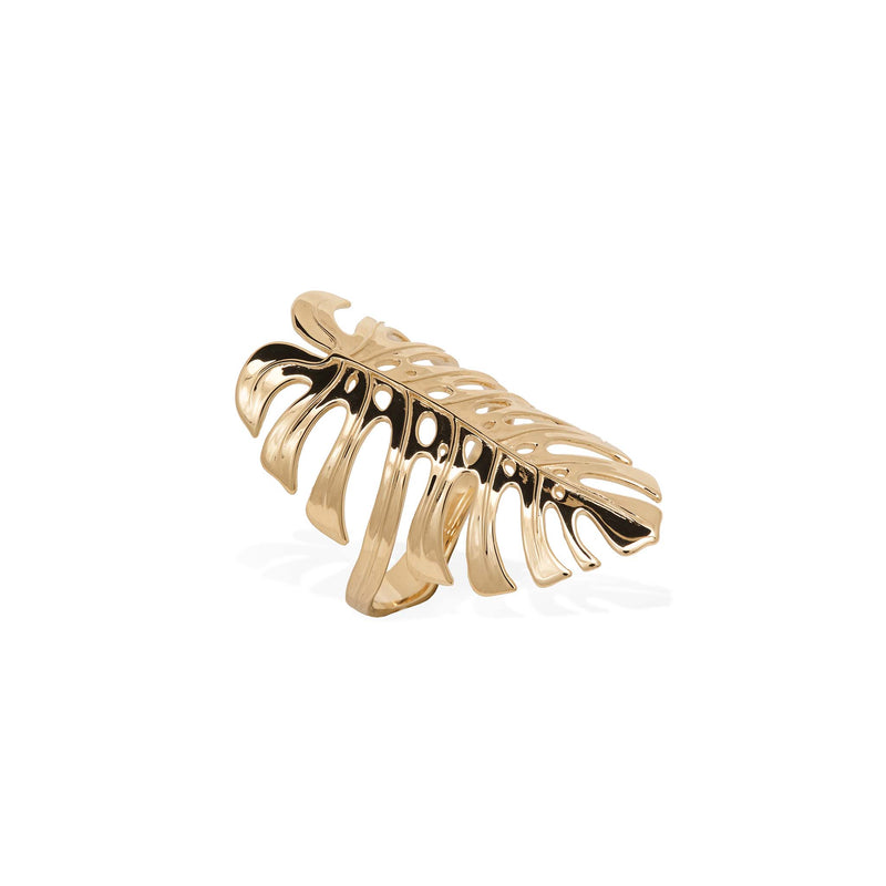 Monstera Ring in Gold - 30mm - Maui Divers Jewelry