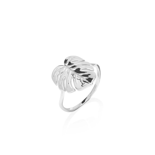 Monstera Ring in White Gold - 15mm - Maui Divers Jewelry