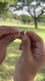 Sealife Angelfish Black Coral Ring in Gold with Diamonds - 12mm - Product Video