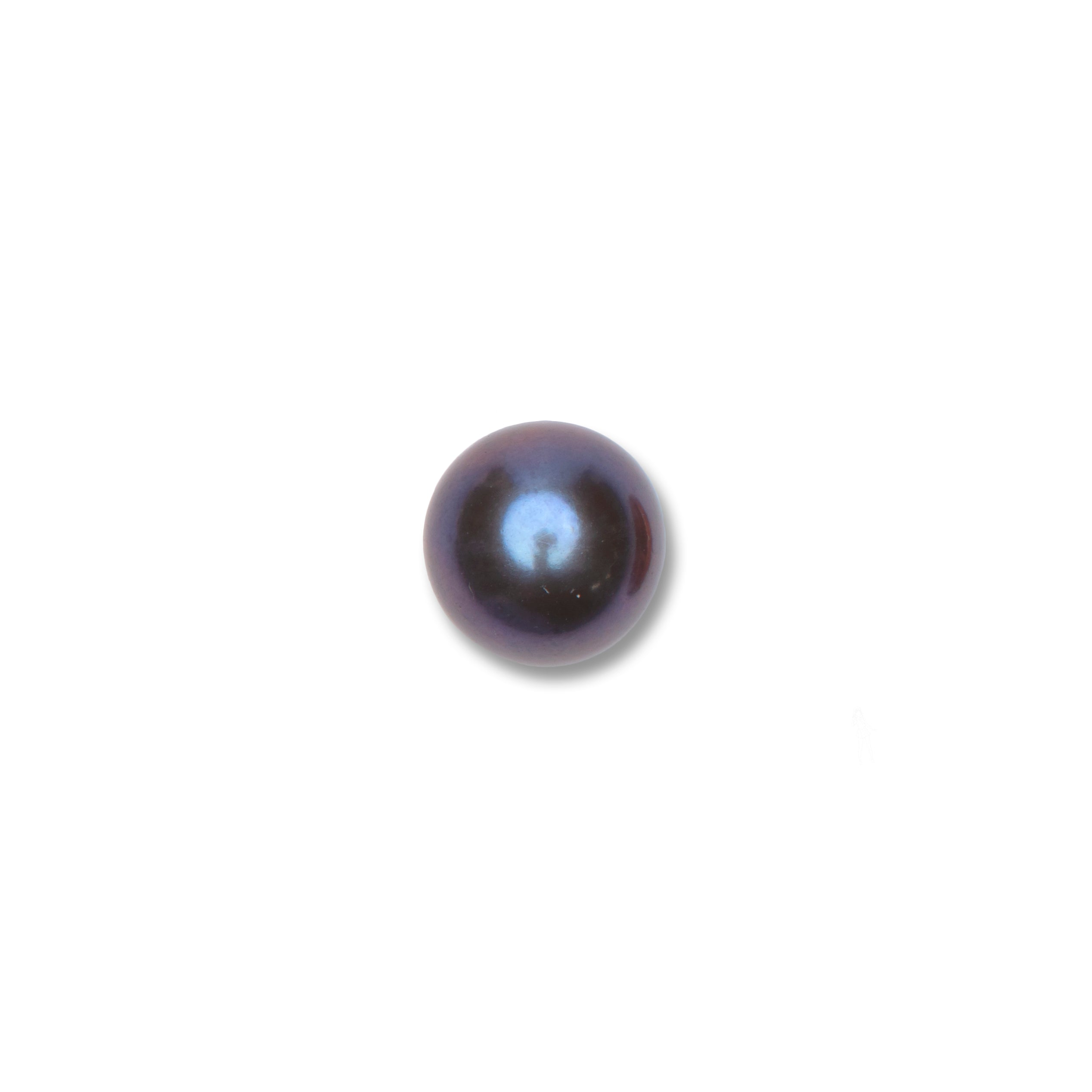 真珠の単一の黒褐色の緩い真珠を選んでください